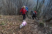 15 Bel sentiero in decisa salita nel bosco